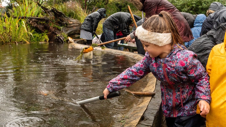 Children pond dipping in the rain at Sheringham Park, Norfolk